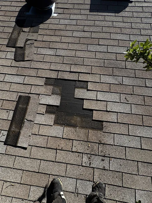 Tree Damage Roof Repair in Leander, Texas by Noble Roofing