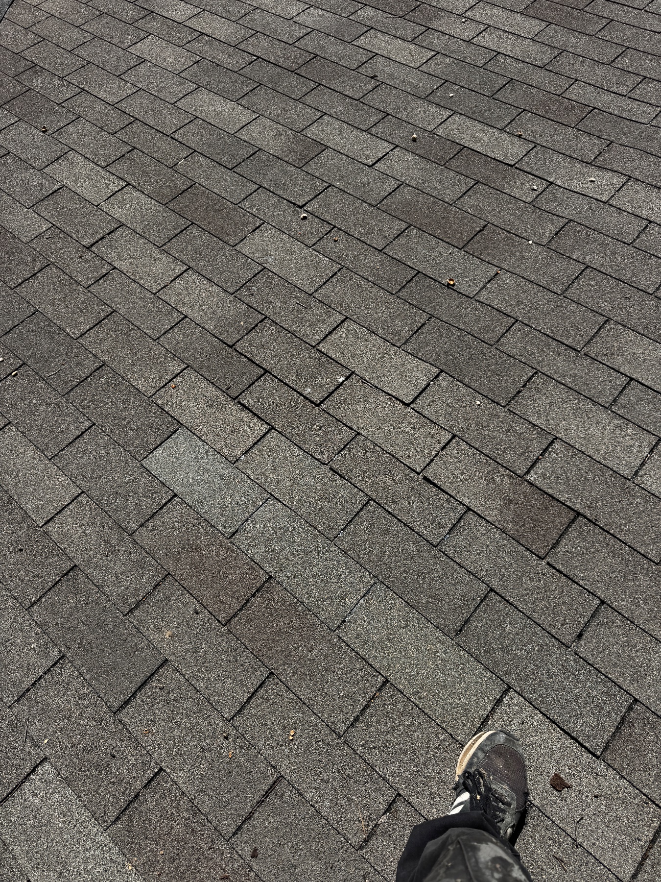 After Roof Repair in Austin in Austin, Texas